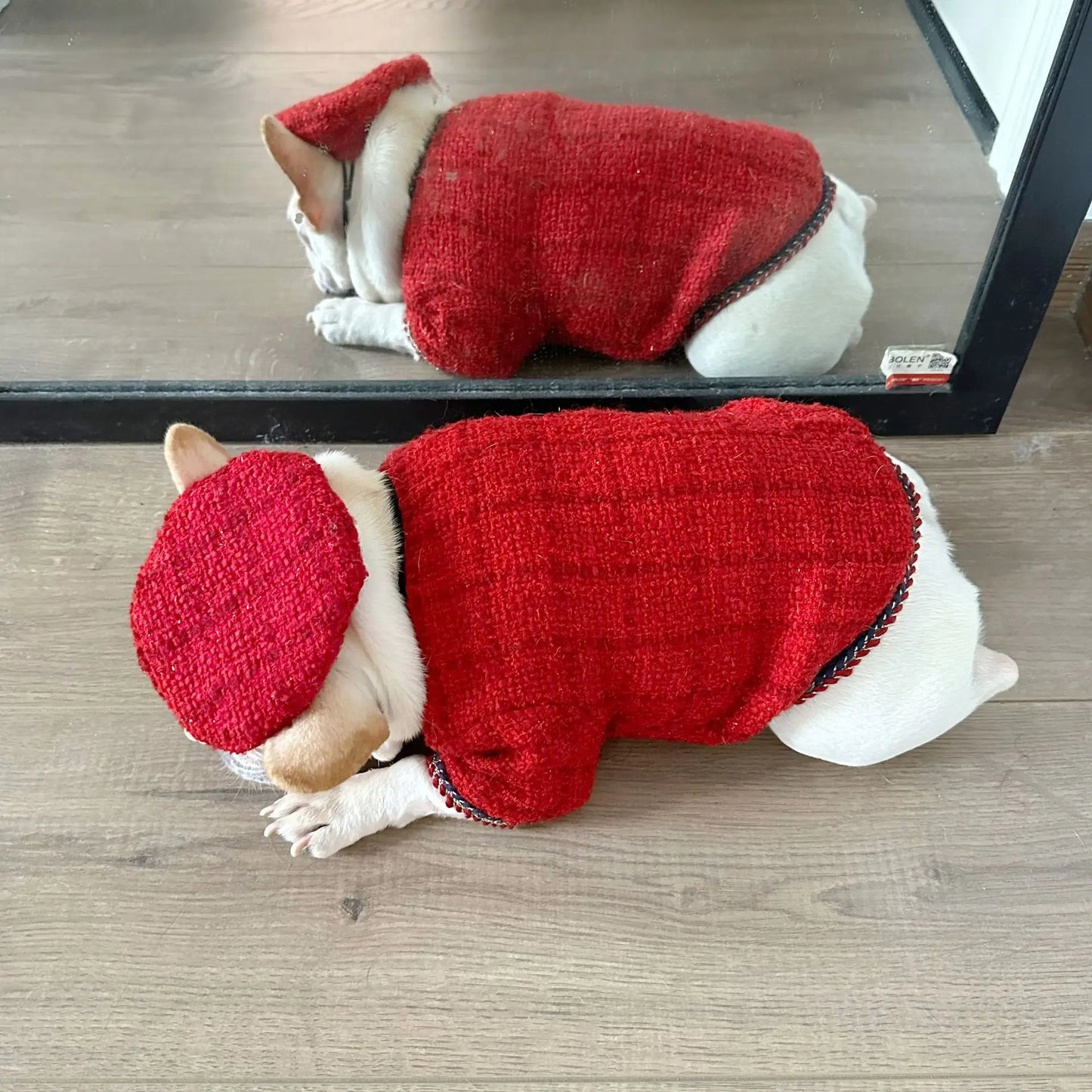 New Winter Classic Plaid Dog Clothes Exquisite Jacket And Hat Set Dog Jacket French Bulldog Schnauzer For Samll Medium Dog