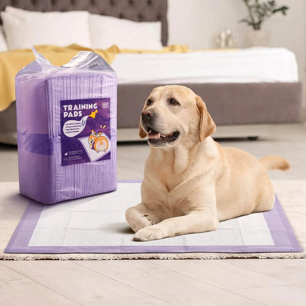 Tieker Pet Diapers Disposable Pet Training Pads Lavender Scent, Quick Drying Super Absorbent Healthy Diaper Pads, 50 pcs