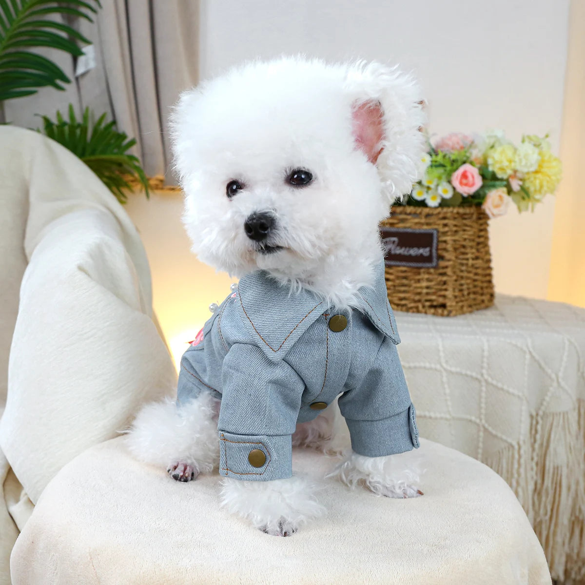 Little Princess Jacket Pet Clothes Dog Cat Anti-hair Loss Summer Blue Handsome Towable Vest