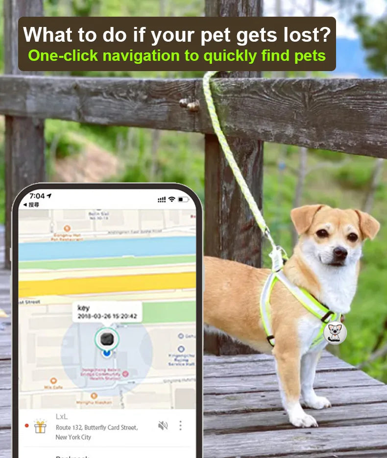 Findmy Tag Global Pet Locator for cats and dogs tracking locating artifact