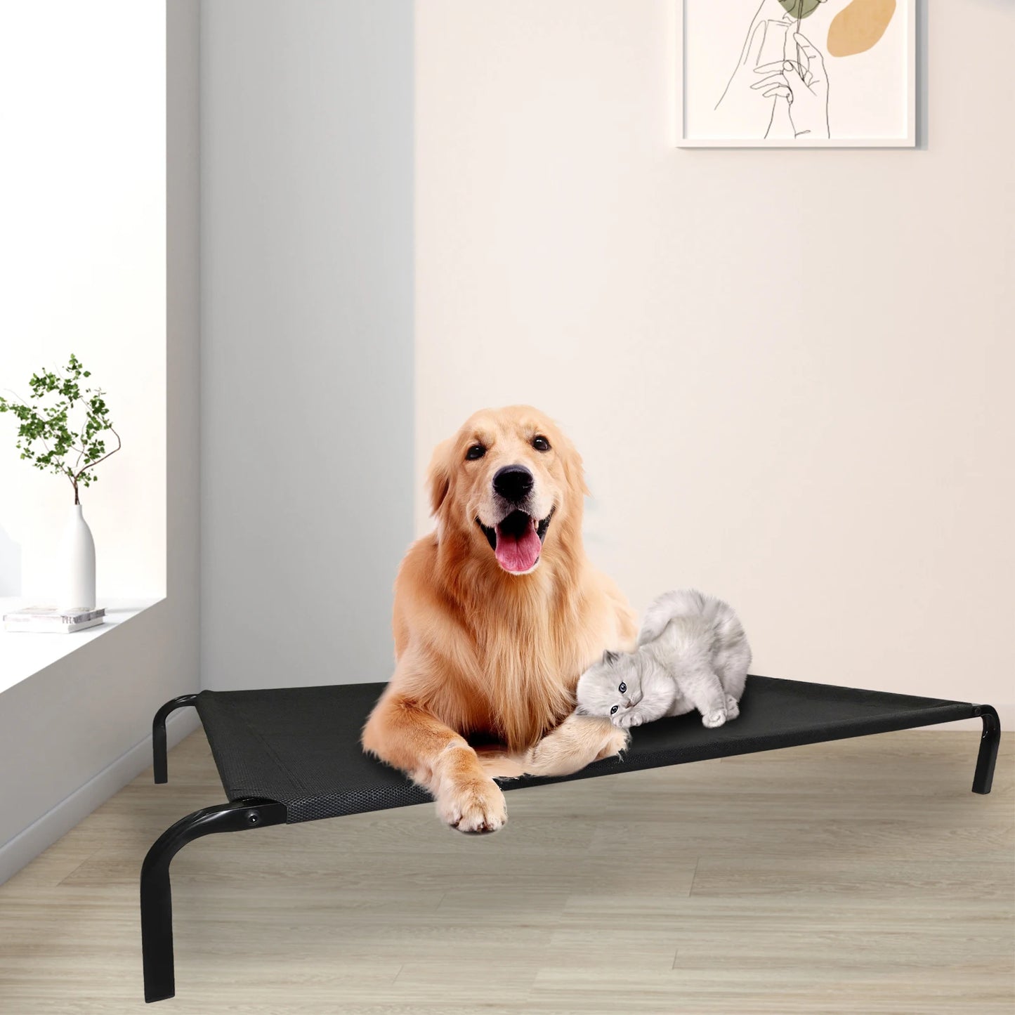 Elevated Dog Bed - 3 Sizes, Outdoor Pet Sofa Bed for Camping, Black Raised Cot for Dogs/Cats