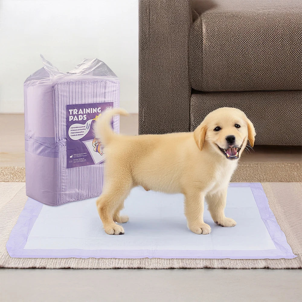 Tieker Pet Diapers Disposable Pet Training Pads Lavender Scent, Quick Drying Super Absorbent Healthy Diaper Pads, 50 pcs