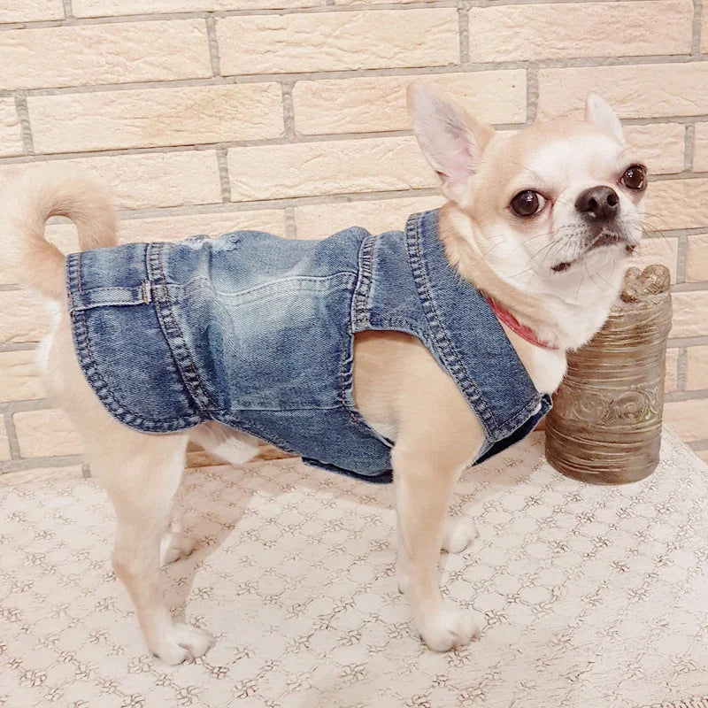 Pets Dogs Jeans Coat Jacket Towable Denim Vest Cat Puppy Spring/Autumn Clothes Apparel