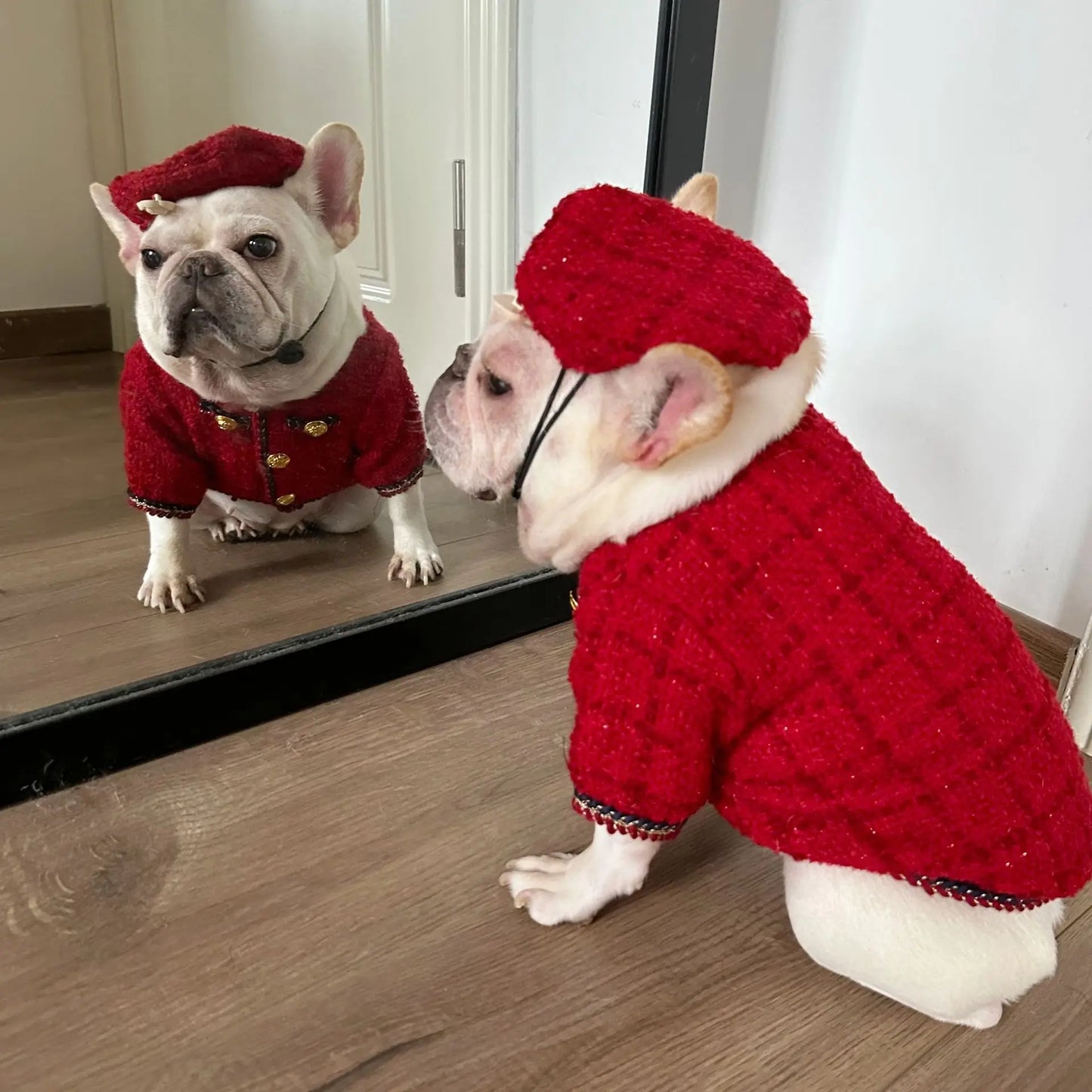 New Winter Classic Plaid Dog Clothes Exquisite Jacket And Hat Set Dog Jacket French Bulldog Schnauzer For Samll Medium Dog