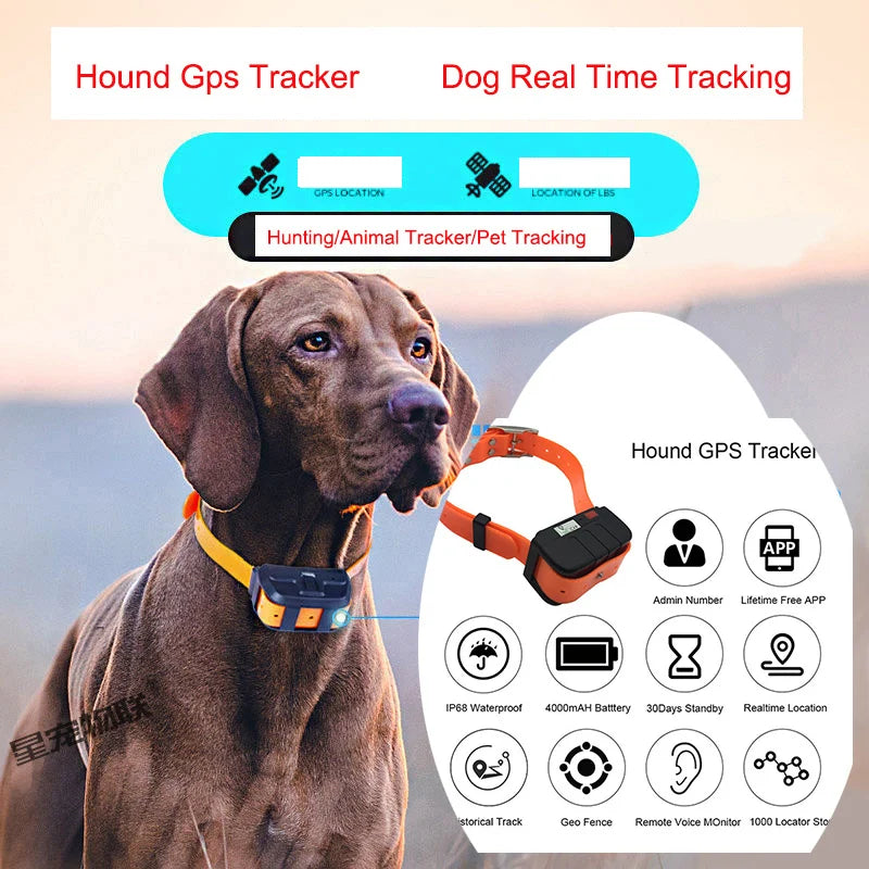 Pet Tracker Gps Collar for Dogs Gps Tracking  Animal Real Time Tracking IP67 Waterproof Hound Locator for Medium Large Dogs