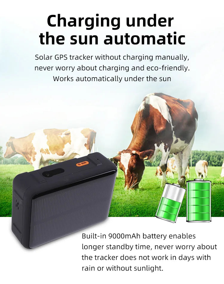 Solar Powered 4G Smart Cattle Tracker, GPS Locator Find Animals WIFI Cow Sheep Horse Camel Pets Tracking Device for Cow Tracking