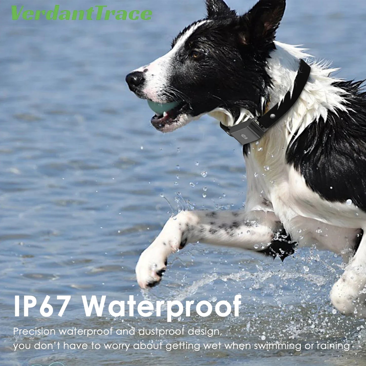 Waterproof 4G GPS Pet Tracker Mini Body Camera for Dog Cat Outdoor Adventures Smart Collar Tracking Video Recording VerdantTrace