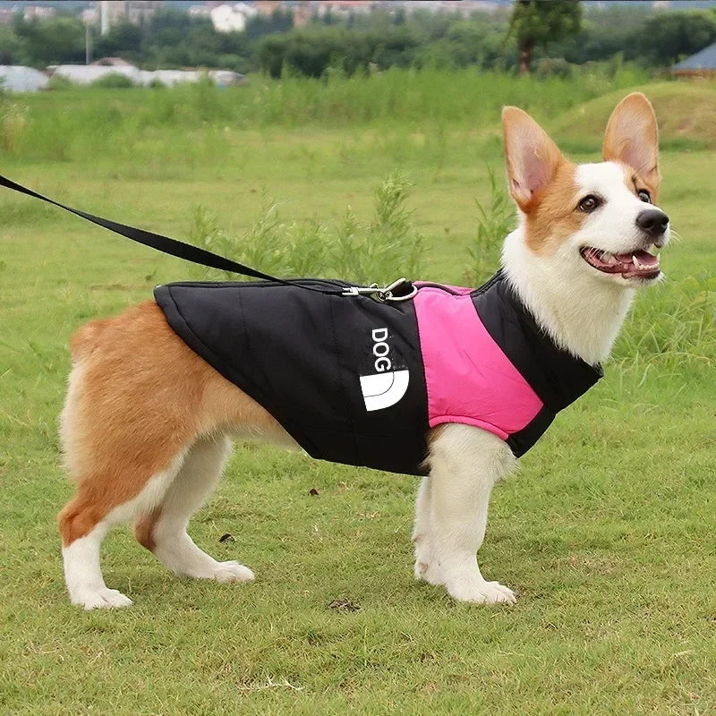 Waterproof Warm Dog Clothing for Small Medium Big Dogs Clothes Pet Coat Winter VThe OutfitJacket Dogest Padded Zipper