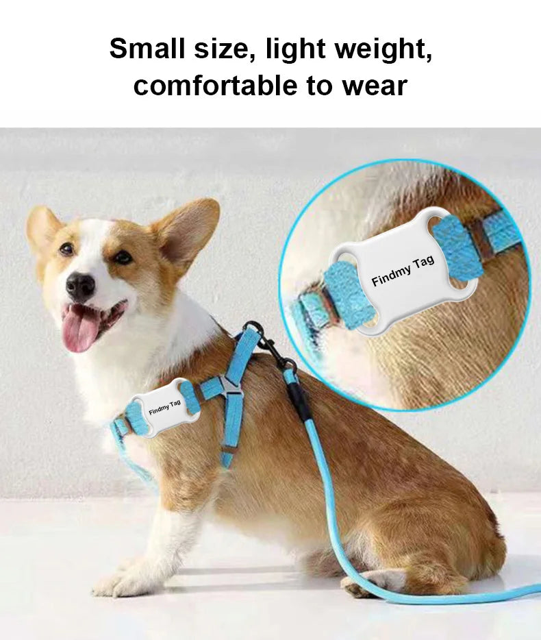 Findmy Tag Global Pet Locator for cats and dogs tracking locating artifact