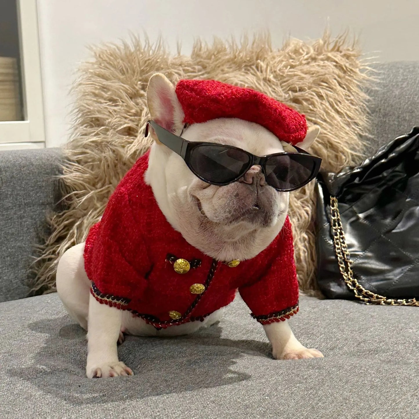 New Winter Classic Plaid Dog Clothes Exquisite Jacket And Hat Set Dog Jacket French Bulldog Schnauzer For Samll Medium Dog