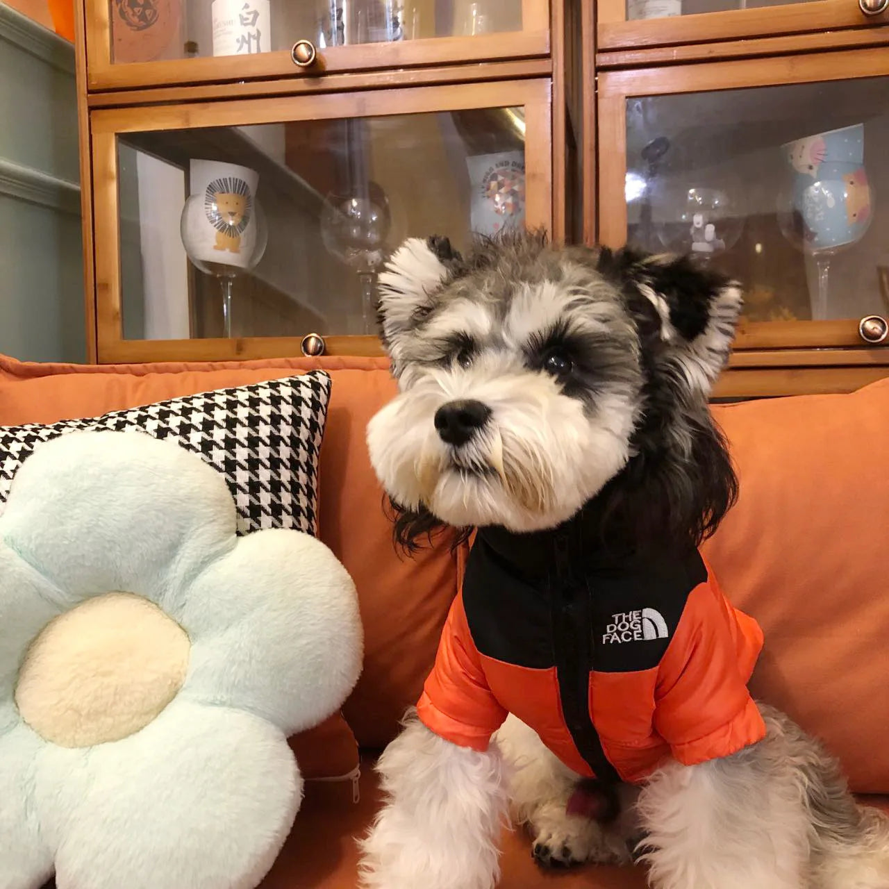 The Dog Face Winter Pet Dog Down Jacket Clothes for Small Medium Dogs Warm Thick White Duck Down Vest French Bulldog Puppy Coat