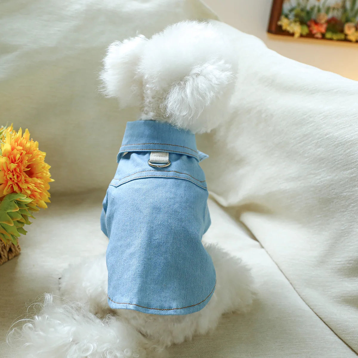 Pet Clothing Spring And Autumn Handsome Cool Cowboy Coat Suitable Cute Rock Roll Denim Clothing for Small and Medium sized Dogs