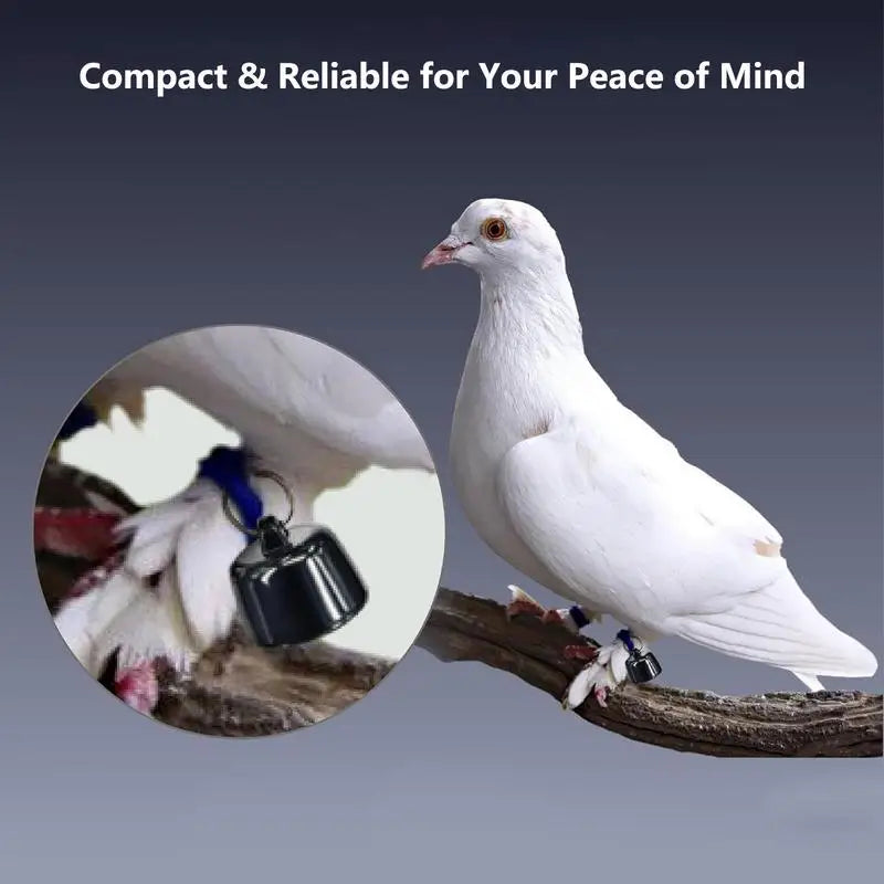 Mini Pets Global Locator Compatible With Androids ISO System For Birds And Dogs And Cats View 3 Days Of Movement Trackers