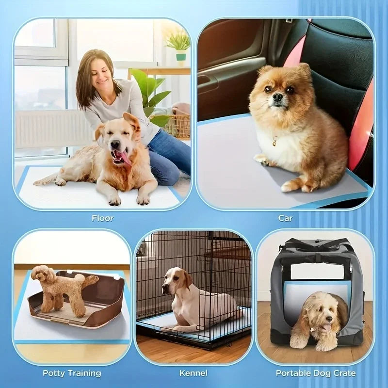 Super Absorbent Pet Diaper Urinal Dog Training Pee Pads 100/50/40/20PCS Disposable Healthy Nappy Mat For Cats Dog Quick-dry Pads