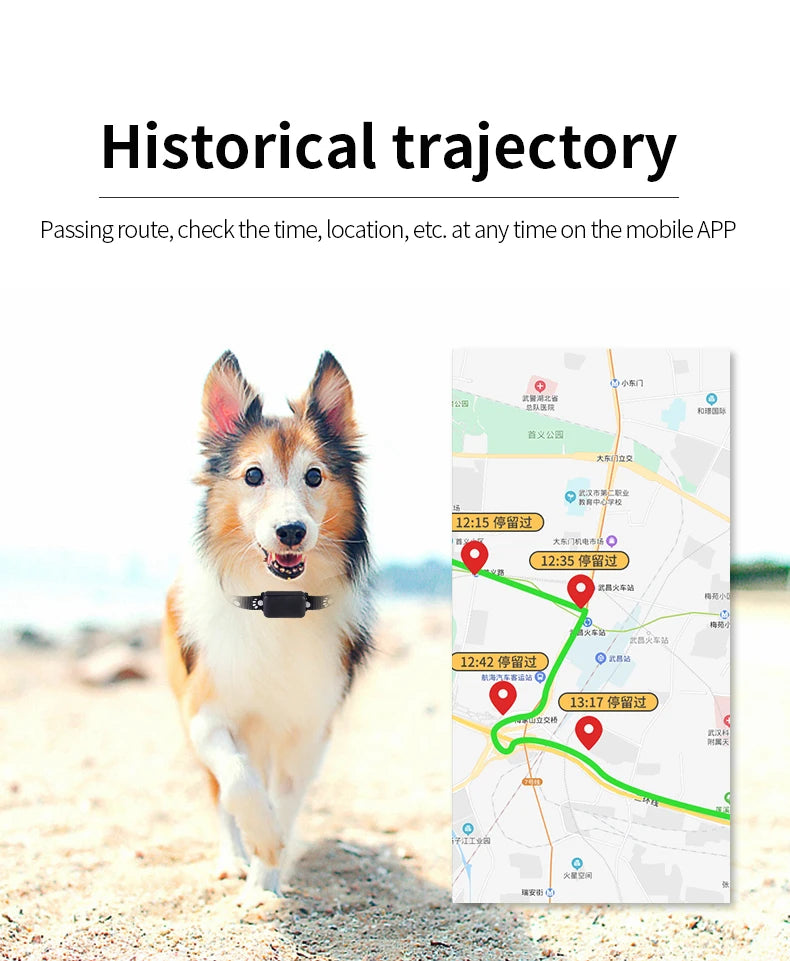 Waterproof Pet GPS Tracker, Location Adjustable Collar, Real-Time Call, Remote Control GPS Locator for Cats and Dogs, GSM, AGPS,