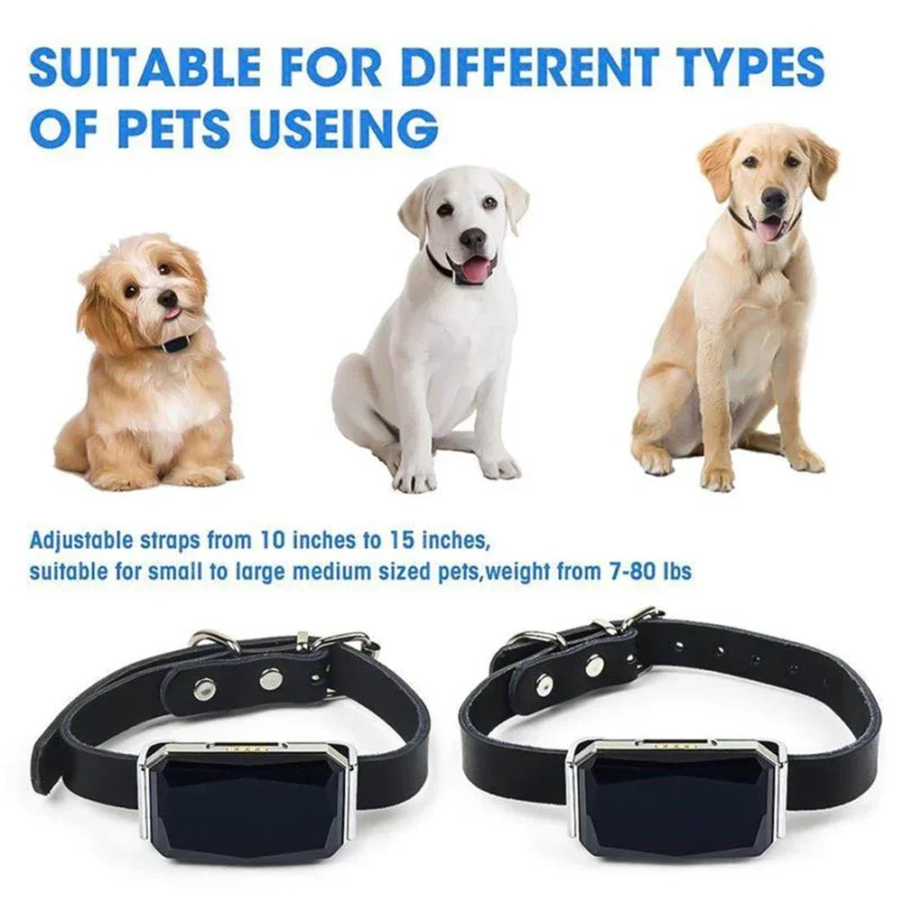 Smart GPS Pet Tracker Collar Real-Time Tracking 5m Accuracy IP67 Waterproof 10-Day Battery Geofence Alerts Dogs Cats Positioning