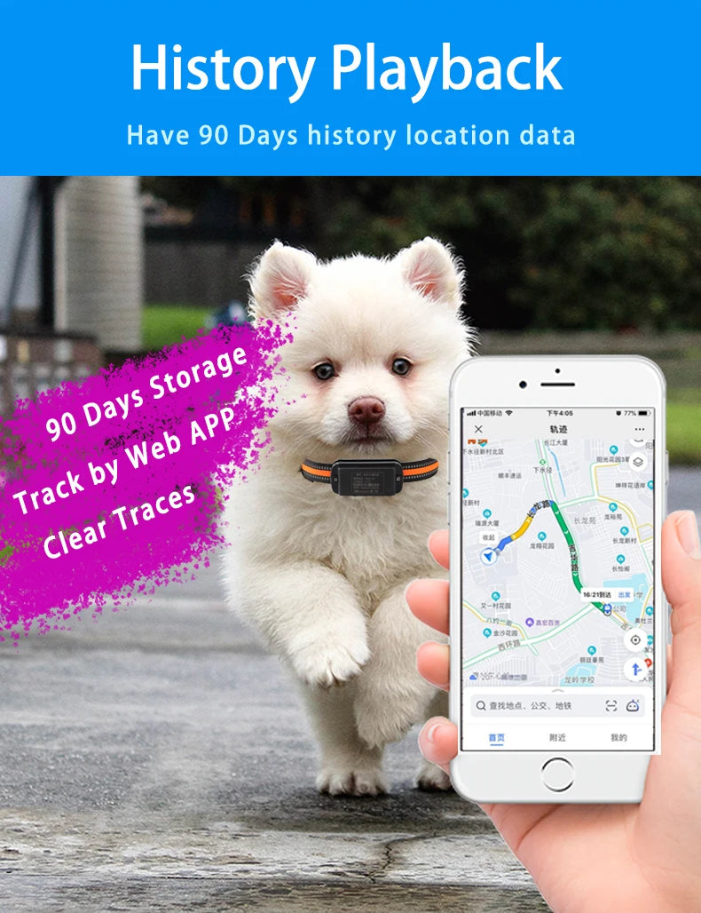 4G Smart Pet Locator Collar, Hunting Dog GPS Tracker Anti-Lost Live Location Free APP 60 Days Standby Waterproof Dog Find Device