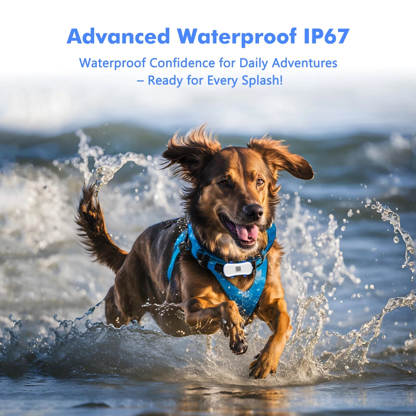 ‌4G Dog Cat GPS Tracker for Pets - Waterproof Smart Locator with App, Live Tracking & Light/Sound Search with Subscription