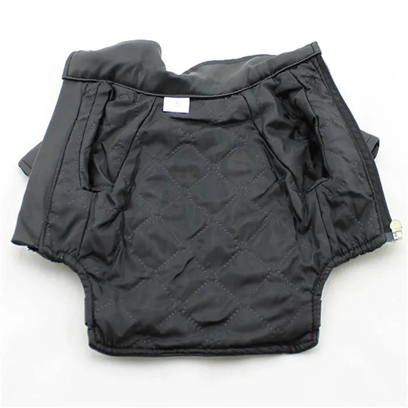 Glorious Eagle Pattern Dog Coat PU Leather Jacket Soft Waterproof Outdoor Puppy Outerwear Fashion Clothes For Small Pet(XXS-XXL)