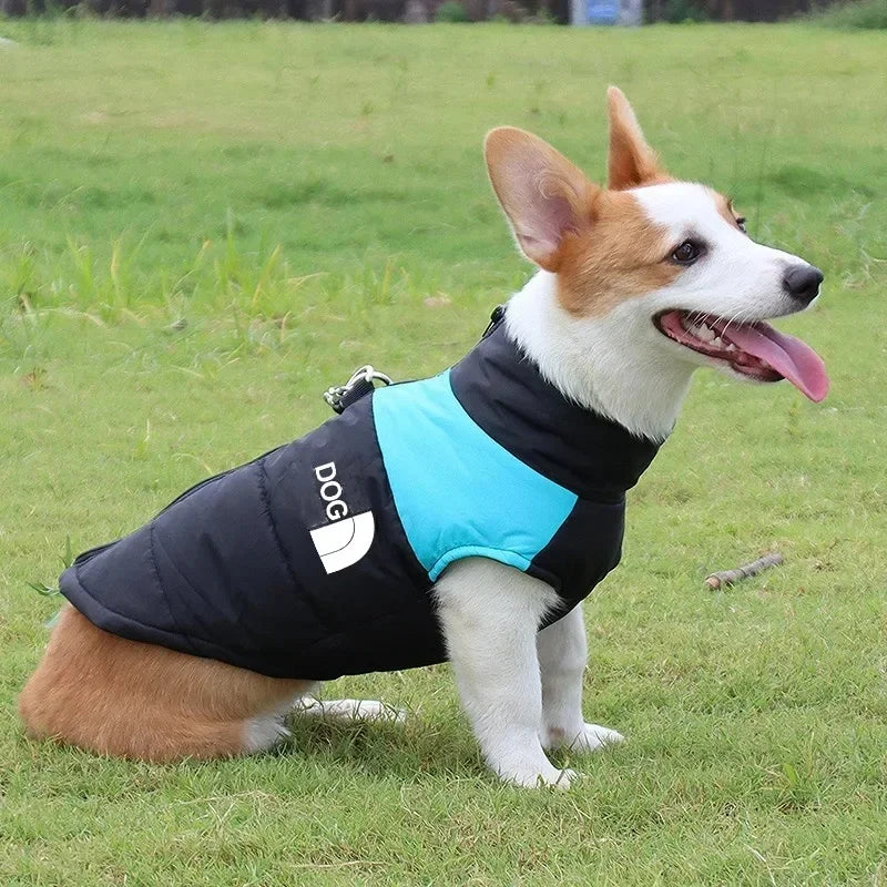 Waterproof Warm Dog Clothing for Small Medium Big Dogs Clothes Pet Coat Winter VThe OutfitJacket Dogest Padded Zipper