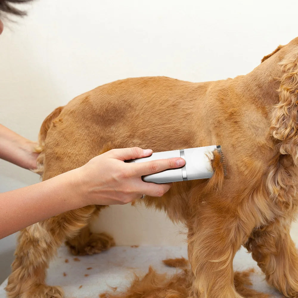 Tieker 4 in 1 pet electric trimmer rechargeable grooming clipper set pet grooming tools pet hair trimming scissors