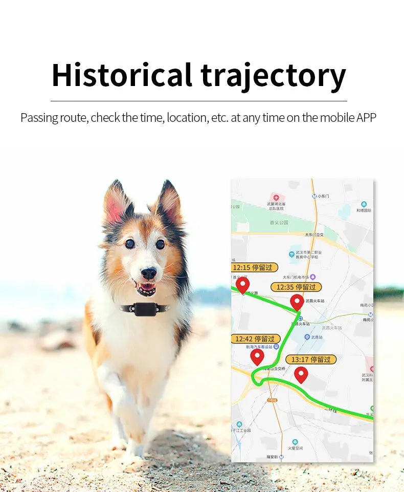 Waterproof Pet GPS Tracker, Location Adjustable Collar, Real-Time Call, Remote Control GPS Locator for Cats and Dogs, GSM, AGPS,