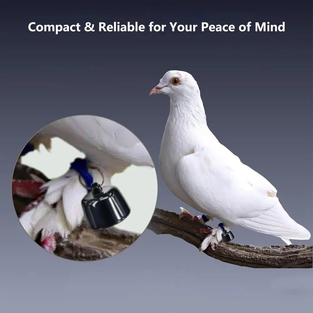 Mini Pets Global Locator Compatible With Androids ISO System For Birds And Dogs And Cats View 3 Days Of Movement Trackers