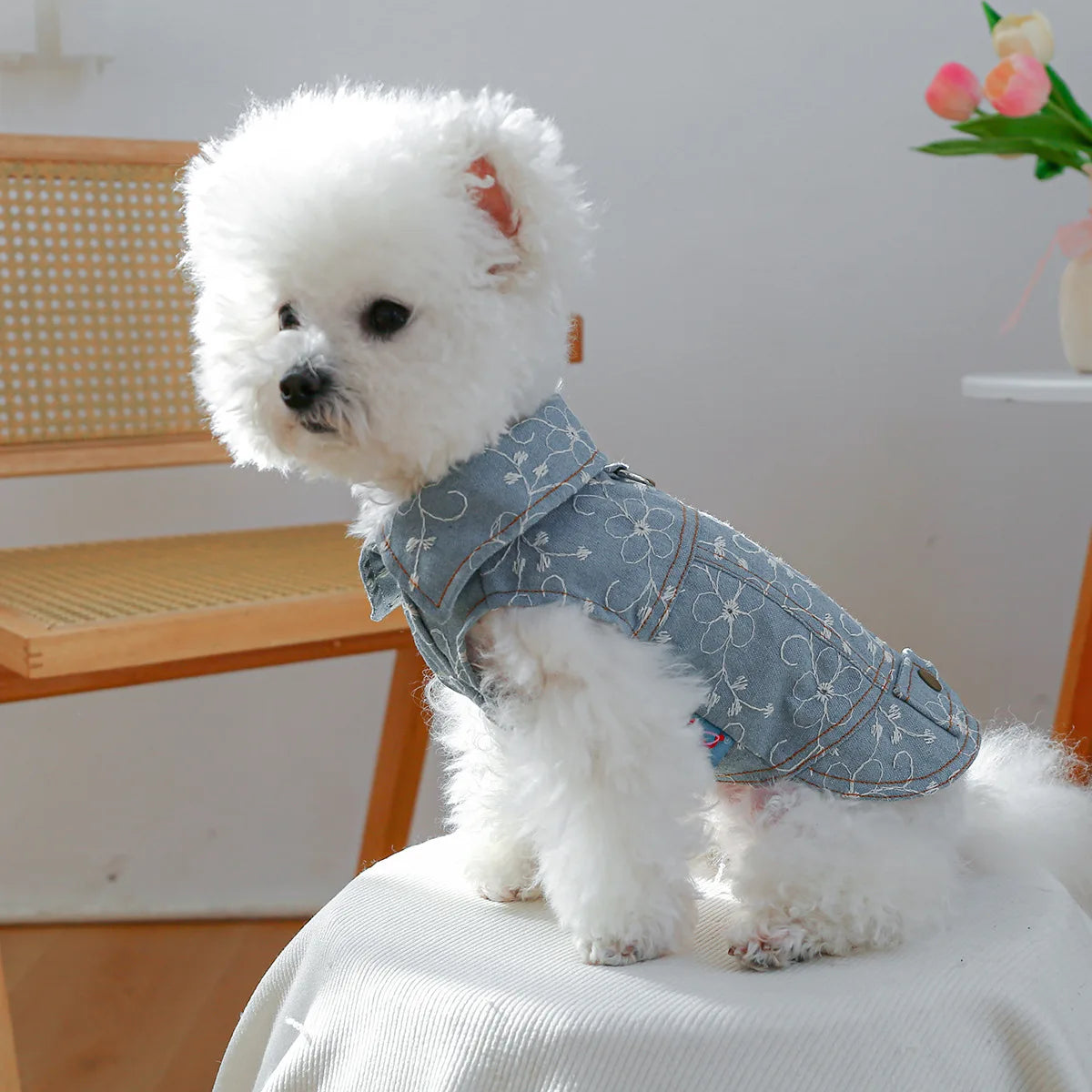 Denim Doggie Pet Jacket Sleeveless Vest Jeans Coat Autumn Spring Wear Apparel For Small Medium Dog XS XL Cat Puppy Clothes Goods