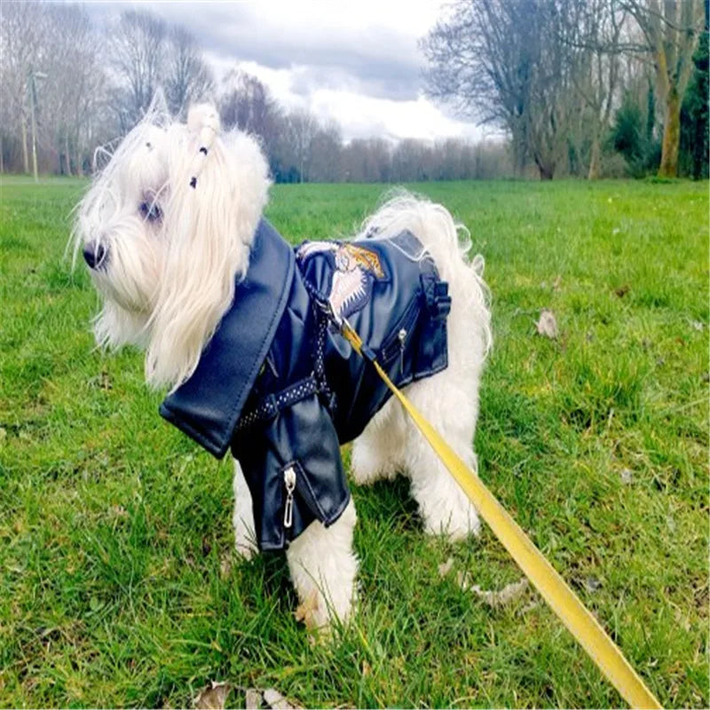 Glorious Eagle Pattern Dog Coat PU Leather Jacket Soft Waterproof Outdoor Puppy Outerwear Fashion Clothes For Small Pet(XXS-XXL)