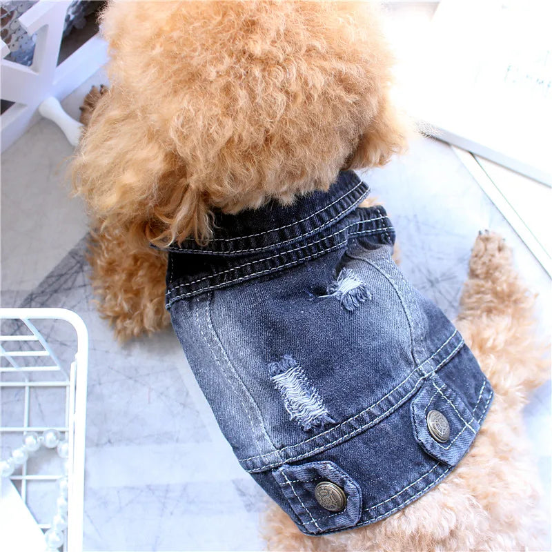 Pet Clothes Denim Dog Costume Summer Cowboy Vest Daisy Shirt Jeans Jacket Puppy Clothing for Chihuahua Yorkies