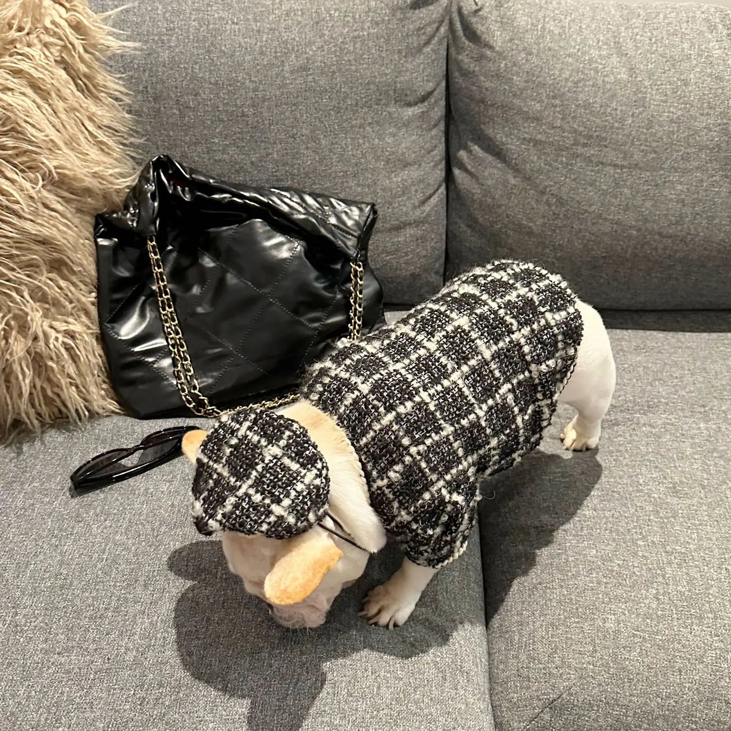 New Winter Classic Plaid Dog Clothes Exquisite Jacket And Hat Set Dog Jacket French Bulldog Schnauzer For Samll Medium Dog