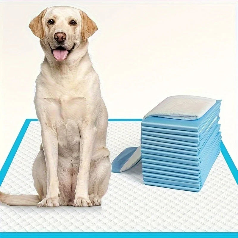 Super Absorbent Pet Diaper Urinal Dog Training Pee Pads 100/50/40/20PCS Disposable Healthy Nappy Mat For Cats Dog Quick-dry Pads