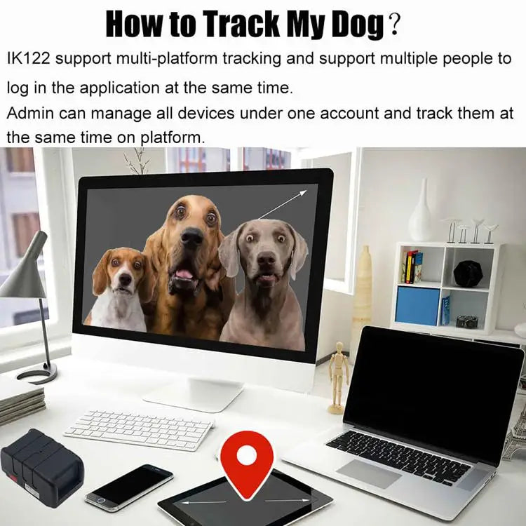 Pet Tracker Gps Collar for Dogs Gps Tracking  Animal Real Time Tracking IP67 Waterproof Hound Locator for Medium Large Dogs