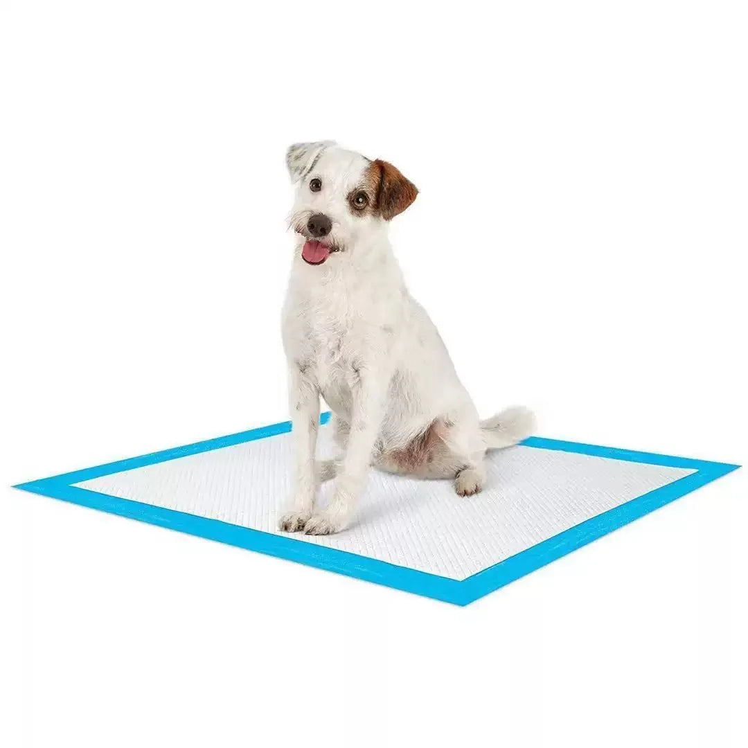 Pet diaper pads dog paper diapers pet urine pads dog urine pads diapers dog urine barrier pads disposable diapers cat use