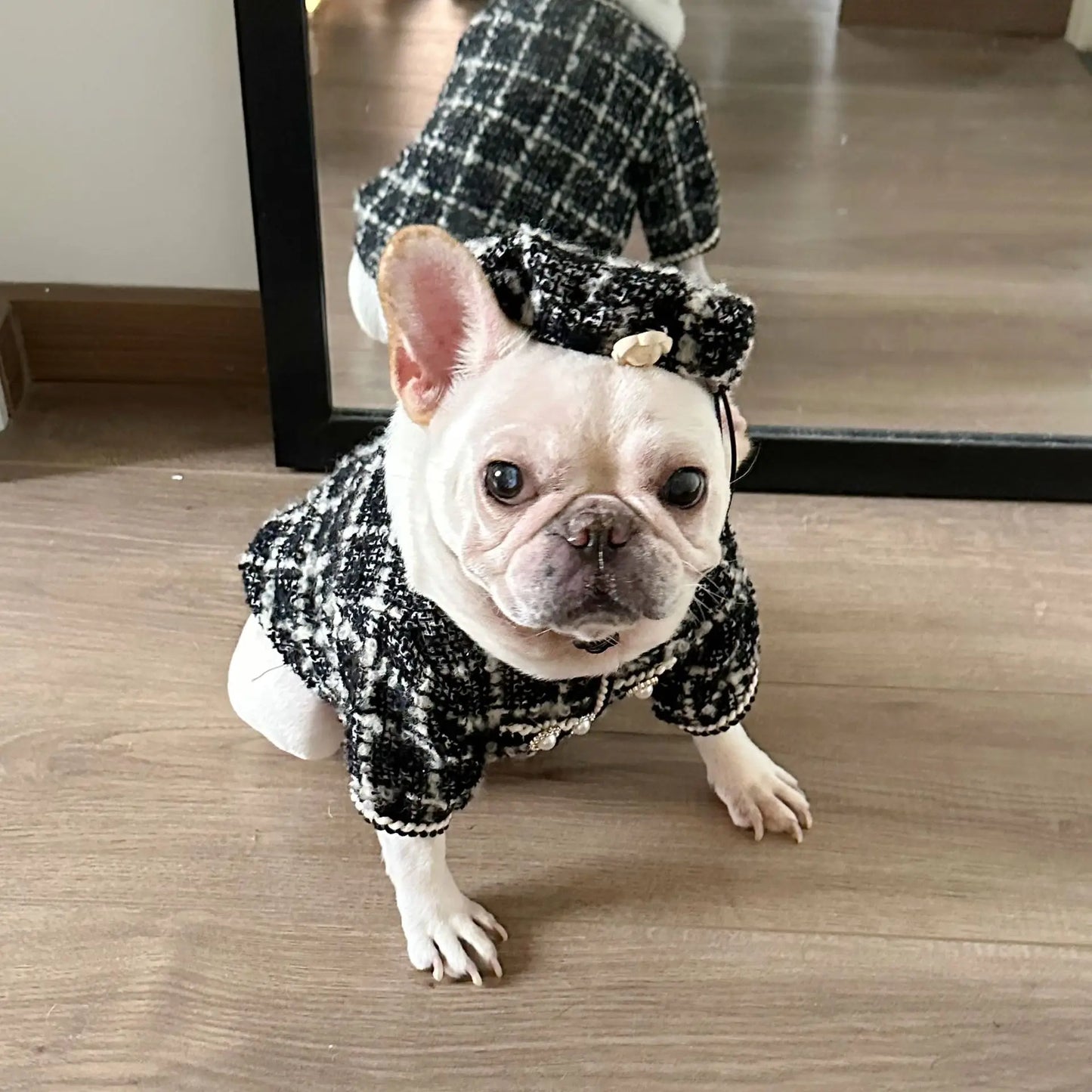 New Winter Classic Plaid Dog Clothes Exquisite Jacket And Hat Set Dog Jacket French Bulldog Schnauzer For Samll Medium Dog