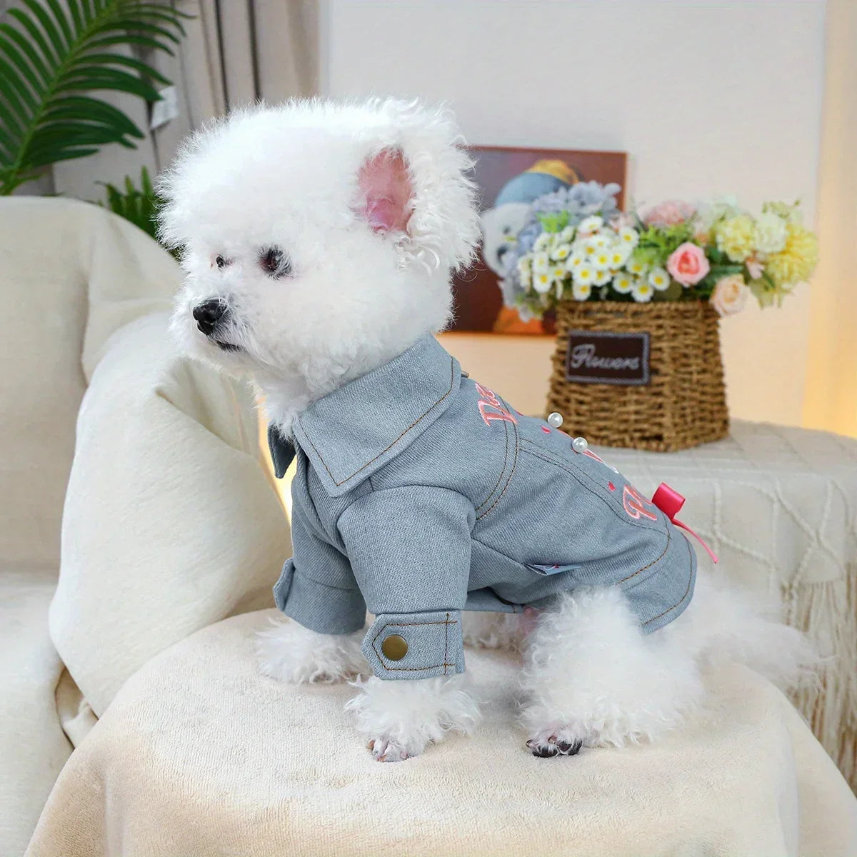 Little Princess Jacket Pet Clothes Dog Cat Anti-hair Loss Summer Blue Handsome Towable Vest