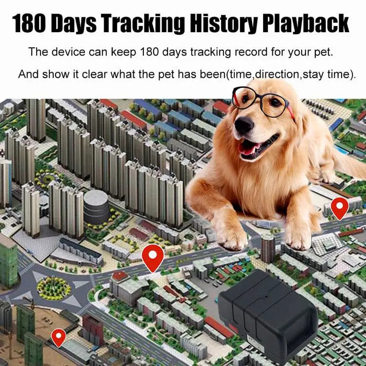 Pet Tracker Gps Collar for Dogs Gps Tracking  Animal Real Time Tracking IP67 Waterproof Hound Locator for Medium Large Dogs