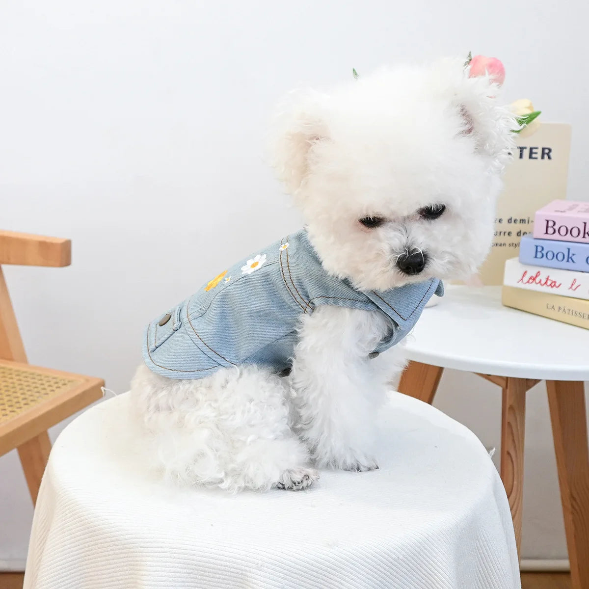 Denim Puppy Jacket For Chihuahua Yorkie Adjustable Lightweight  Coat, Breathable Dog Clothes With Snap Closure