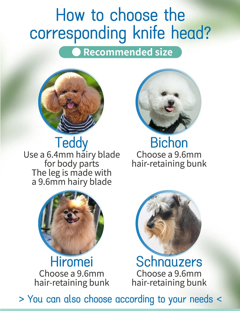 Fenice Electrical Pet Clipper Machine Dog Hair Clippers Grooming Animals Haircut Trimmer Shaver Set Pets Cordless Rechargeable
