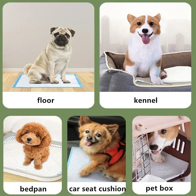 100PCS Thickened Absorbent Dog Puppy Training Pads Pet Disposable Diapers Cat Dog Pee Pads Leak-Proof Pet Urine Mat Quick Dry