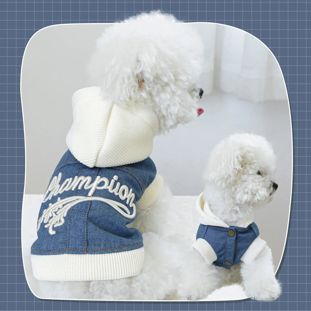 Pet Clothing Spring And Autumn Handsome Cool Cowboy Coat Suitable Cute Rock Roll Denim Clothing for Small and Medium sized Dogs