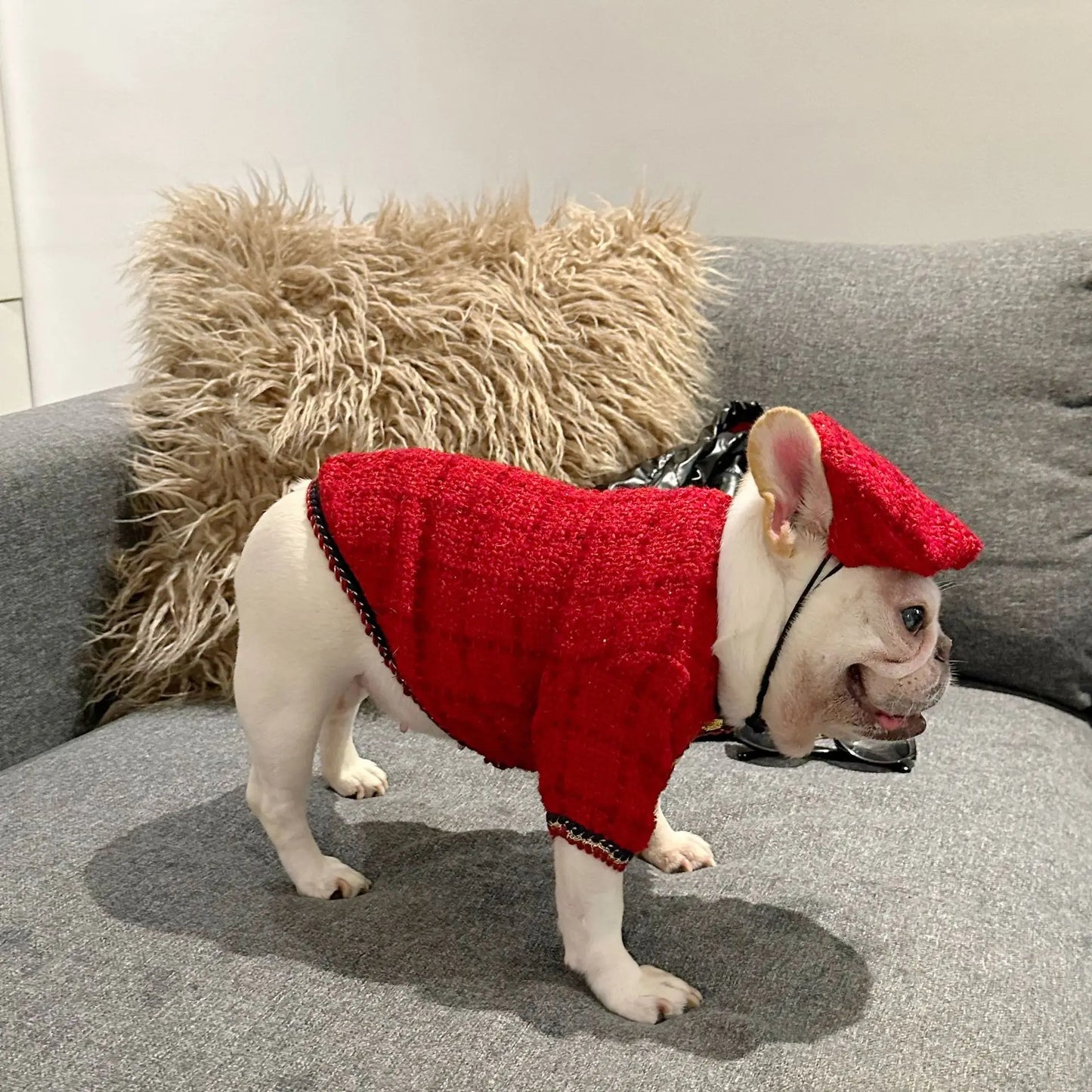 New Winter Classic Plaid Dog Clothes Exquisite Jacket And Hat Set Dog Jacket French Bulldog Schnauzer For Samll Medium Dog