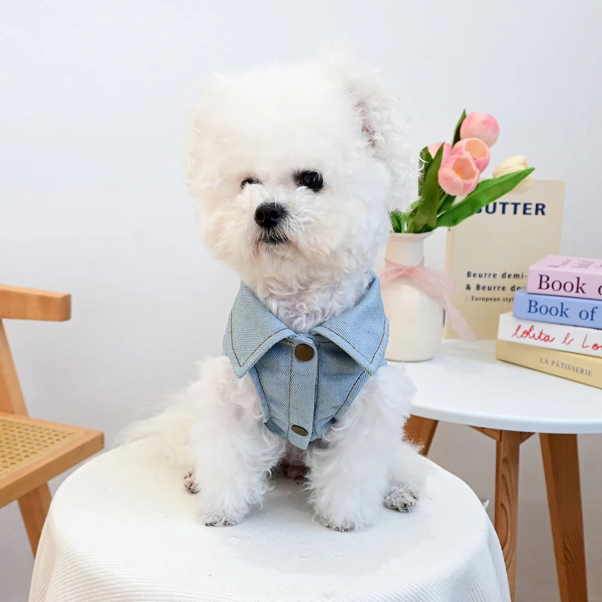 New Heart Wings Design Dog Denim Jacket with Pearl Pet Vest Cool Clothes Durable Jeans Coat for Small Medium Dogs