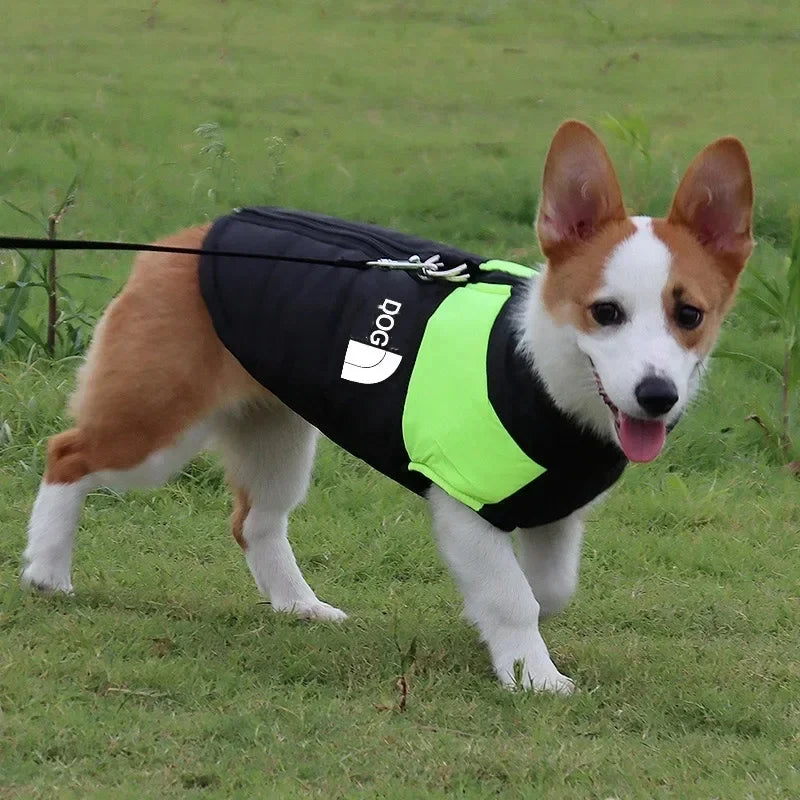 Waterproof Warm Dog Clothing for Small Medium Big Dogs Clothes Pet Coat Winter VThe OutfitJacket Dogest Padded Zipper