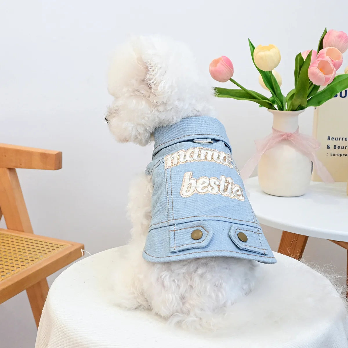 Denim Puppy Jacket For Chihuahua Yorkie Adjustable Lightweight  Coat, Breathable Dog Clothes With Snap Closure