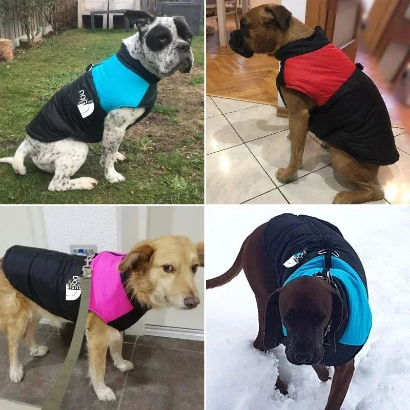 Waterproof Warm Dog Clothing for Small Medium Big Dogs Clothes Pet Coat Winter VThe OutfitJacket Dogest Padded Zipper