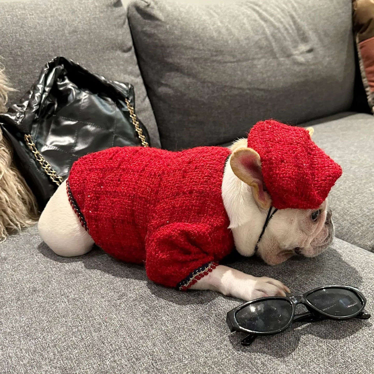 New Winter Classic Plaid Dog Clothes Exquisite Jacket And Hat Set Dog Jacket French Bulldog Schnauzer For Samll Medium Dog