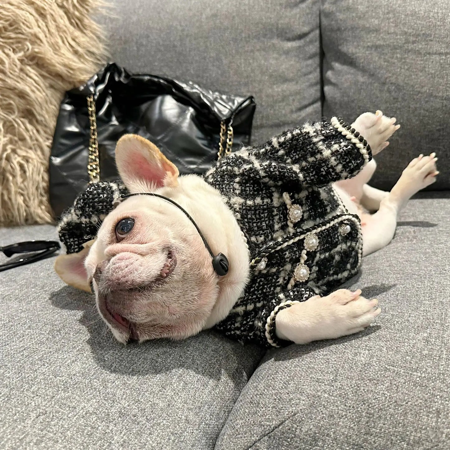 New Winter Classic Plaid Dog Clothes Exquisite Jacket And Hat Set Dog Jacket French Bulldog Schnauzer For Samll Medium Dog