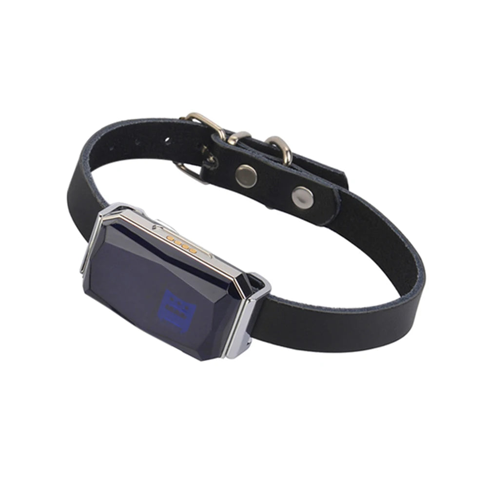 Smart Positioning Tracker Wearable Collar Pet Tracking Locator Waterproof IP67 Anti-lost Record Multifunctional for Kids Elderly