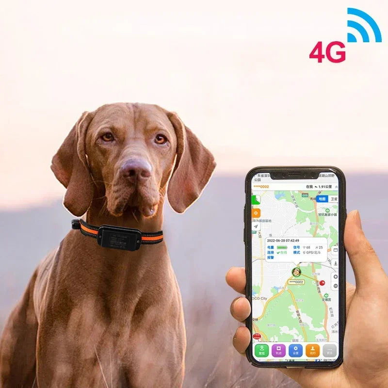 4G Smart Pet Locator Collar, Hunting Dog GPS Tracker Anti-Lost Live Location Free APP 60 Days Standby Waterproof Dog Find Device